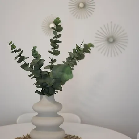 Iliana's 公寓 卡尔季察